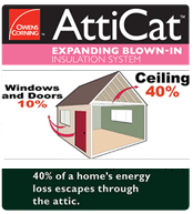 OC Attic Cat Insulation